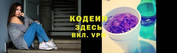 a pvp Бородино