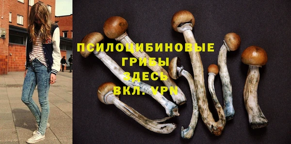 бутират Бугульма