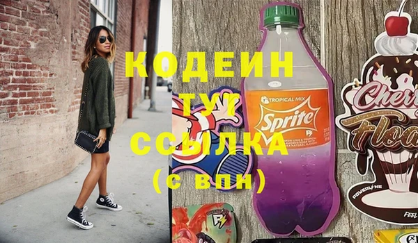 a pvp Бородино