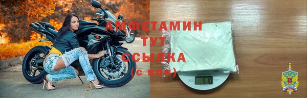 a pvp Бородино