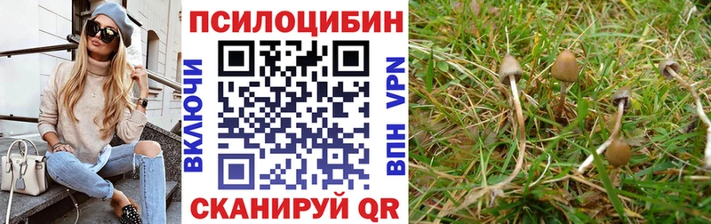 даркнет сайт  Ленинградская  Псилоцибиновые грибы GOLDEN TEACHER 